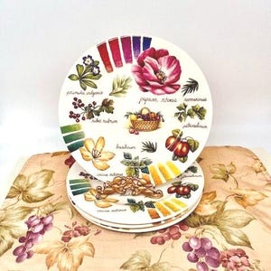Harvest of Fruit Made in Italy Heavy Ceramic Plates - Set of 4
