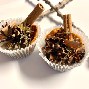 Spiced Blessing Fire Starter Set: Witch Ritual Herbs, Fire Pit Offering