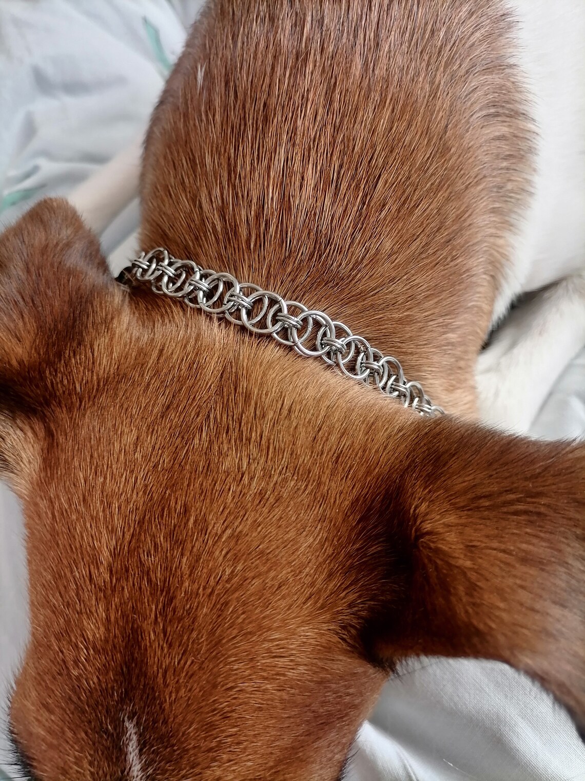 Designer dog and cat chain collar Etsy