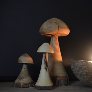Set van 3 paddestoelbeeldjes - draaibank gedraaid/geassorteerd hout