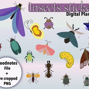 Insect Clipart, Insect Clip Art, Digital Insect Image, Insect image