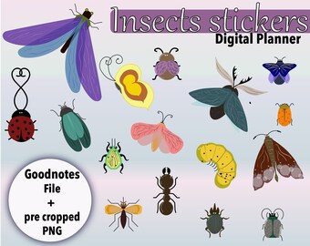Insect Clipart, Insect Clip Art, Digital Insect Image, Insect image