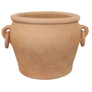 May include: A terracotta planter with two loop handles. The planter is a light brown color and has a rounded shape.