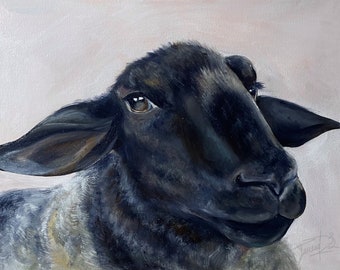 Judy det svarta fåret | Oljemålning