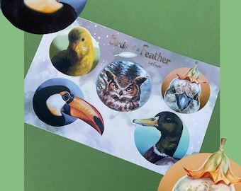 Fågelklistermärkesark: Realistiska illustrationer av vilda djur, halvblank vinyl