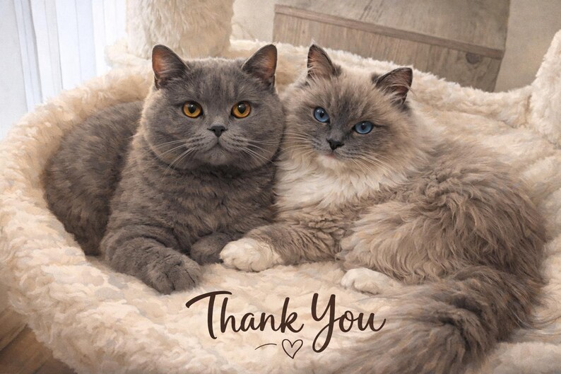 May include: Two cats, one gray with orange eyes and the other light gray with blue eyes, are nestled together on a fluffy, cream-colored bed. The words "Thank You" are written in a cursive font below the cats, with a small heart symbol.