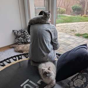 May include: A gray cat sits on a person's shoulders, while another cat rests on a black trampoline. The trampoline has white text. A pillow with a floral pattern is visible. The scene is indoors, with a view of a backyard through a window.
