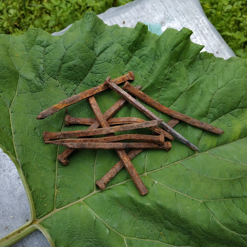 Vintage Rusty Nails Set of 10 Old Quality Nails Etsy