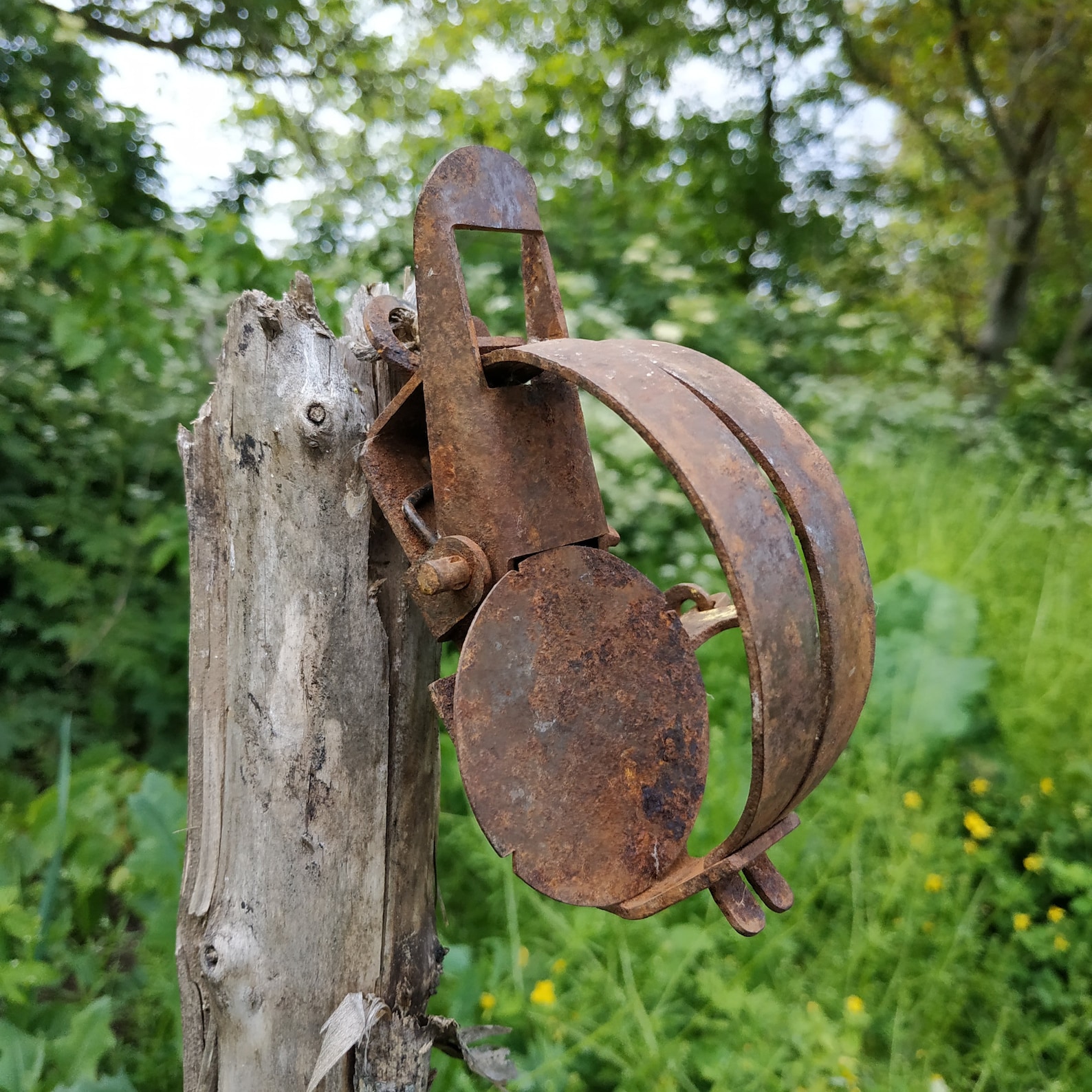 Vintage Rusty Hunting Trap Primitive Small Animal Trap Etsy