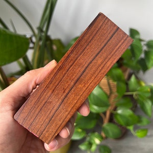 Desert Ironwood block 1