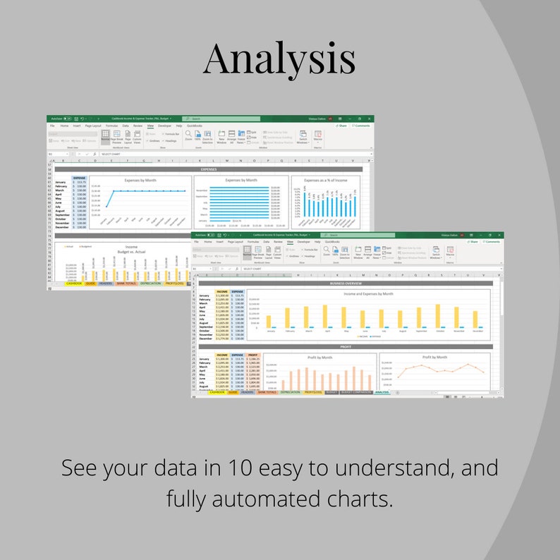 May include: A screenshot of a spreadsheet program with multiple charts showing income and expenses by month. The text "Analysis" is at the top of the image. The text "See your data in 10 easy to understand, and fully automated charts." is at the bottom of the image.