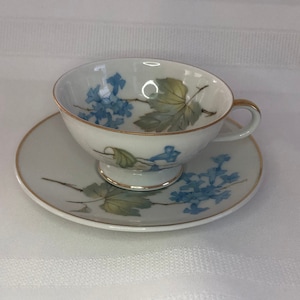 Hutschenreuther Selb Germany China cup/saucer
