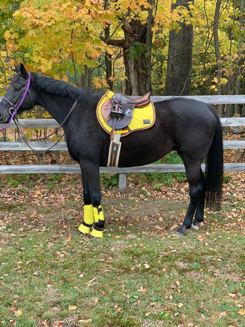 Sunflower Yellow Saddle Pad Etsy