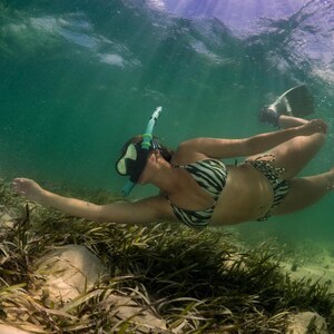 May include: A person wearing a zebra-print bikini top and black bikini bottoms swims underwater with a snorkel and mask. The person is surrounded by green seaweed.