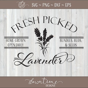 Fraîchement cueilli lavande SVG, SVG lavande, fleurs SVG, svg de fleurs fraîches, svg de marché fermier, jardin svg, svg herbes, fichier, svg, png, dxf, eps