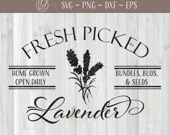 Download Lavender Svg Etsy