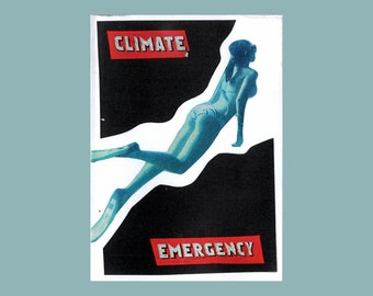 Climate Emergency / Zine