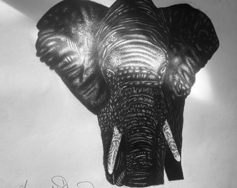 Elephant Drawing