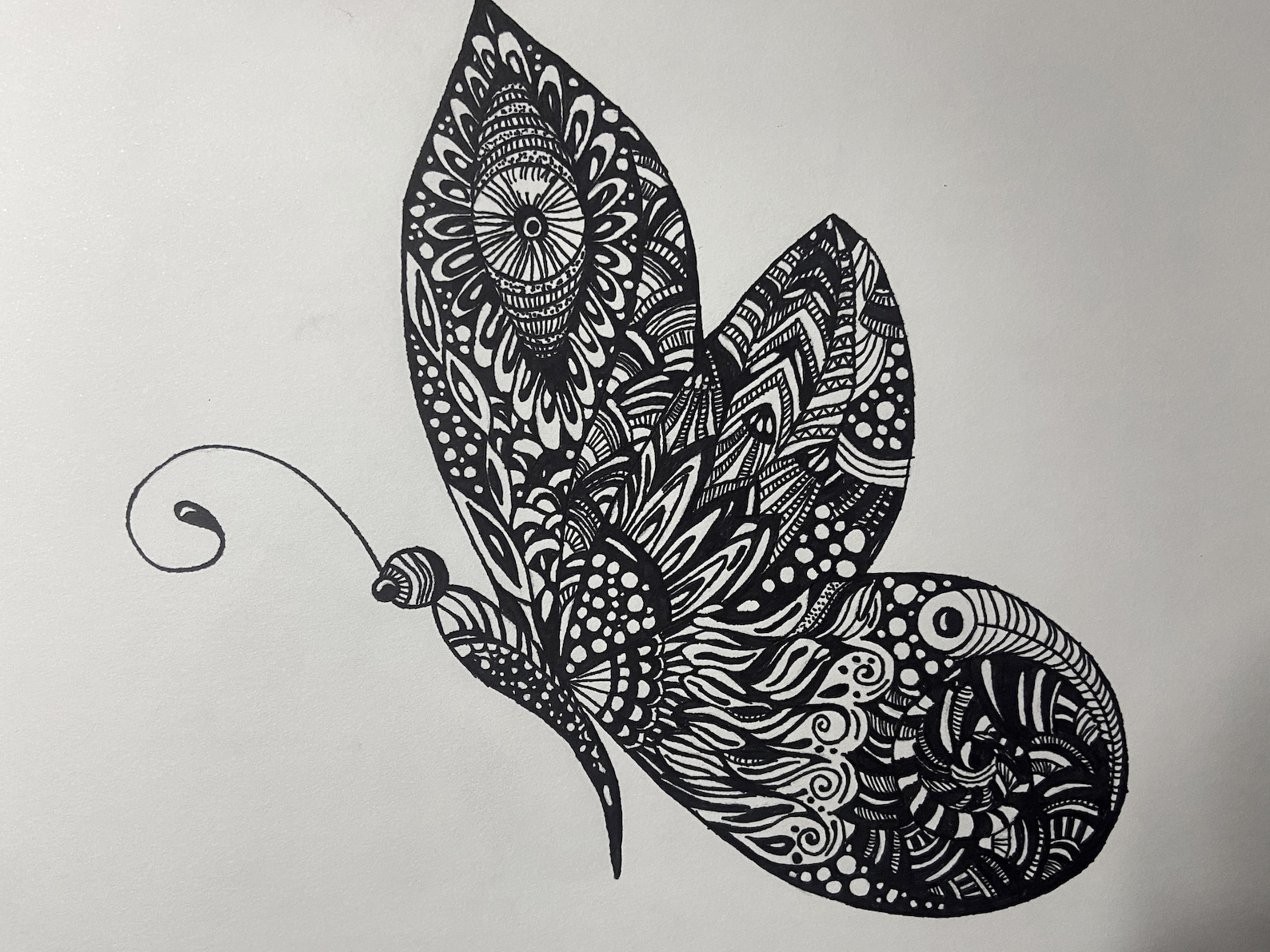 Butterfly Pen Drawing print Etsy