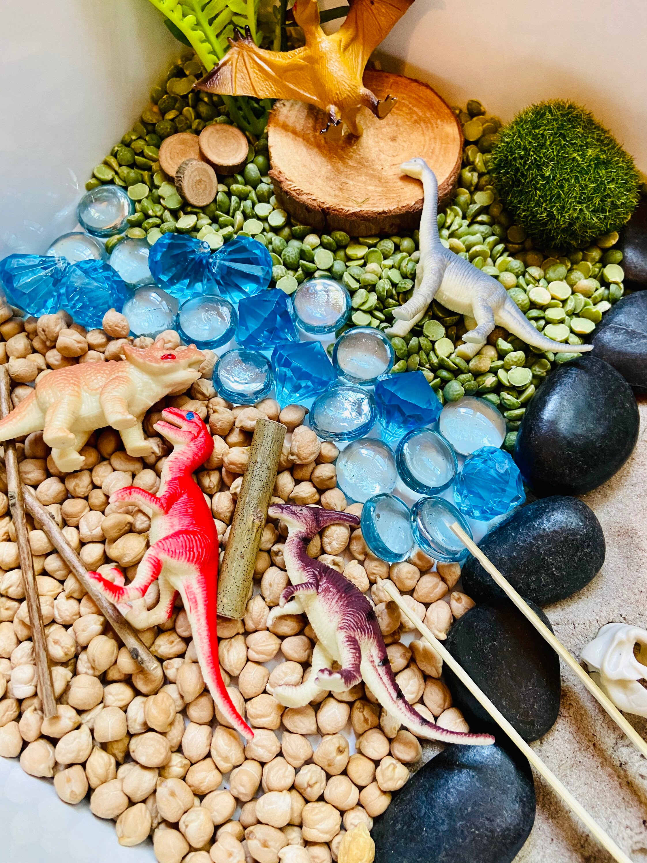 Then vs. Now Dinosaur Sensory Bin Dinosaur Sensory Kit Etsy