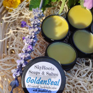 Goldenseal Salve Echinacea Myrrh All-Natural Healing Salve with Essential Oils, Herbs and Soothing Butters