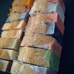 Loofah Soap Bars
