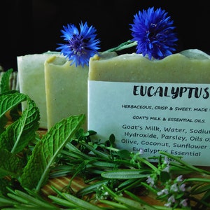 Eucalyptus Goat&#39;s Milk Soap All-Natural Handcrafted
