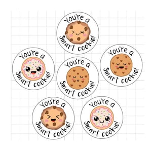 Leuke cirkelstickers 'You're a smart cookie', stickers voor docenten, cadeau, positieve bevestiging