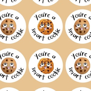 Cirkelstickers 'You're a smart cookie', stickers voor docenten, cadeau, positieve bevestiging