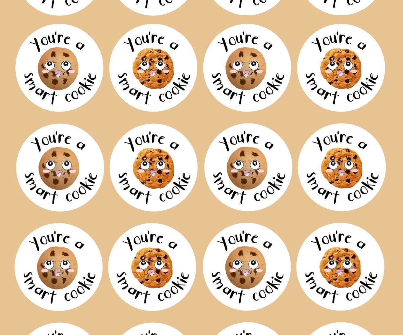 Circle ‘You’re a smart cookie’ stickers, Teacher stickers, Gift, Positive affirmation