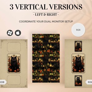 May include: Three vertical images for a dual monitor setup. The left and right images feature a black cat with yellow eyes in a vintage frame. The center image is a repeating pattern of a shelf with bottles, fruits, and other objects.
