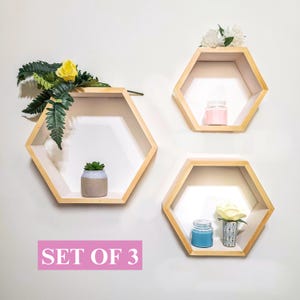 Honeycomb Hexagon Wall Shelves Set of 3 Wood Floating Shelf Plant Shelf Nursery Farmhouse Decor Modern Geometric Wall Art
