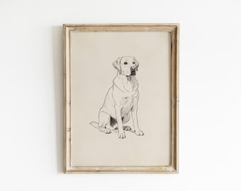 May include: Framed pencil sketch of a Labrador Retriever dog in a sitting position. The dog is drawn in a realistic style with detailed shading, set against a neutral background. The frame is a distressed, light-colored wood.