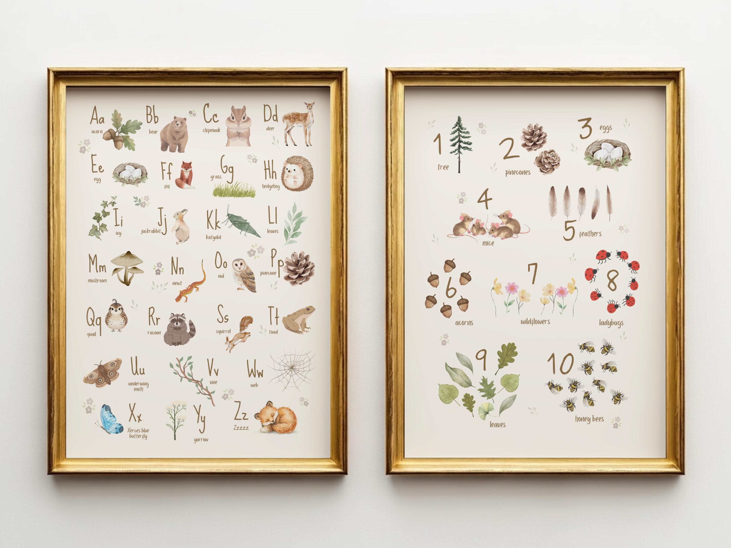 Woodland Alphabet & Numbers Poster Set of 2 | Watercolor Animal Nursery ...