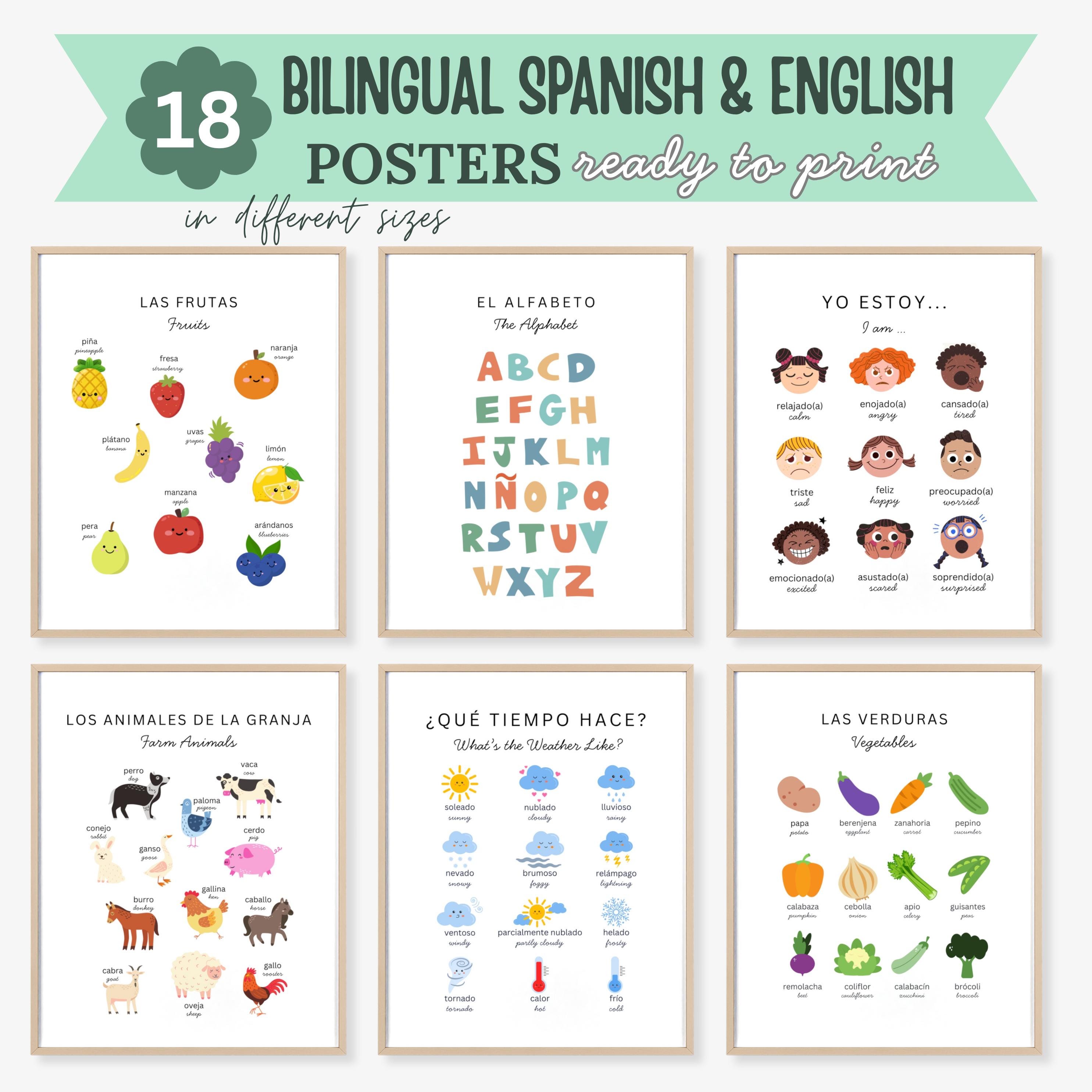 Bilingual Spanish English Posters | Montessori Educational Prints ...