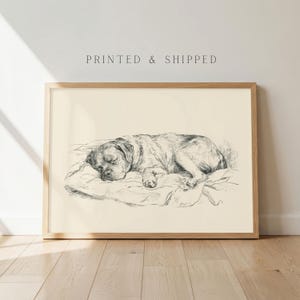May include: A framed art print featuring a black ink sketch of a dog sleeping on a cushion. The artwork is set against a cream-colored background. The text "PRINTED & SHIPPED" is centered above the illustration in a simple, dark serif font.
