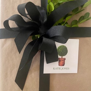 May include: A brown paper gift bag with a black ribbon and bow. A small green plant is on top of the bag. A white gift tag with a drawing of a small potted tree and the text "KATIE JONES" is attached to the bag.