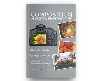 Aprenda COMPOSICIÓN - DESCARGA DIGITAL - Conceptos básicos de fotografía - Composición Libro electrónico de más de 60 páginas - 30 lecciones - ¡No es necesario el modo manual!