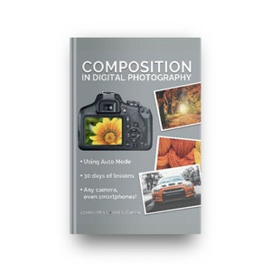 Learn COMPOSITION - DIGITAL DOWNLOAD - Photography Basics - Composition 60+ page eBook - 30 Lessons - No Manual Mode Necessary!