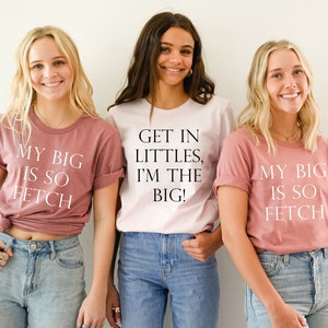 harley davidson big little shirts