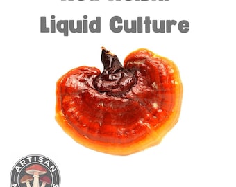 Jeringa de cultivo líquido de Reishi rojo / Micelio de hongo Ganoderma lucidum