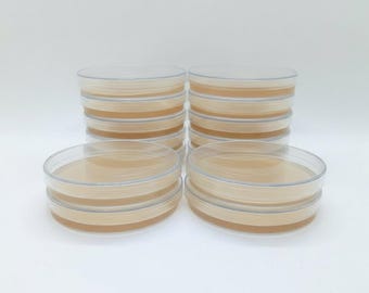 Produktbild von VILLFUL 10er-Pack Vorgegossene LB-Agarplatten – Petrischalen Für Mykologie, Schule & Labor, 9 Cm