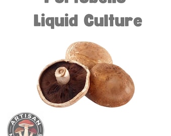 Portobello-paddenstoel (Agaricus bisporus) vloeibare kweekspuit | Kweek thuis je eigen gastronomische paddenstoelen!