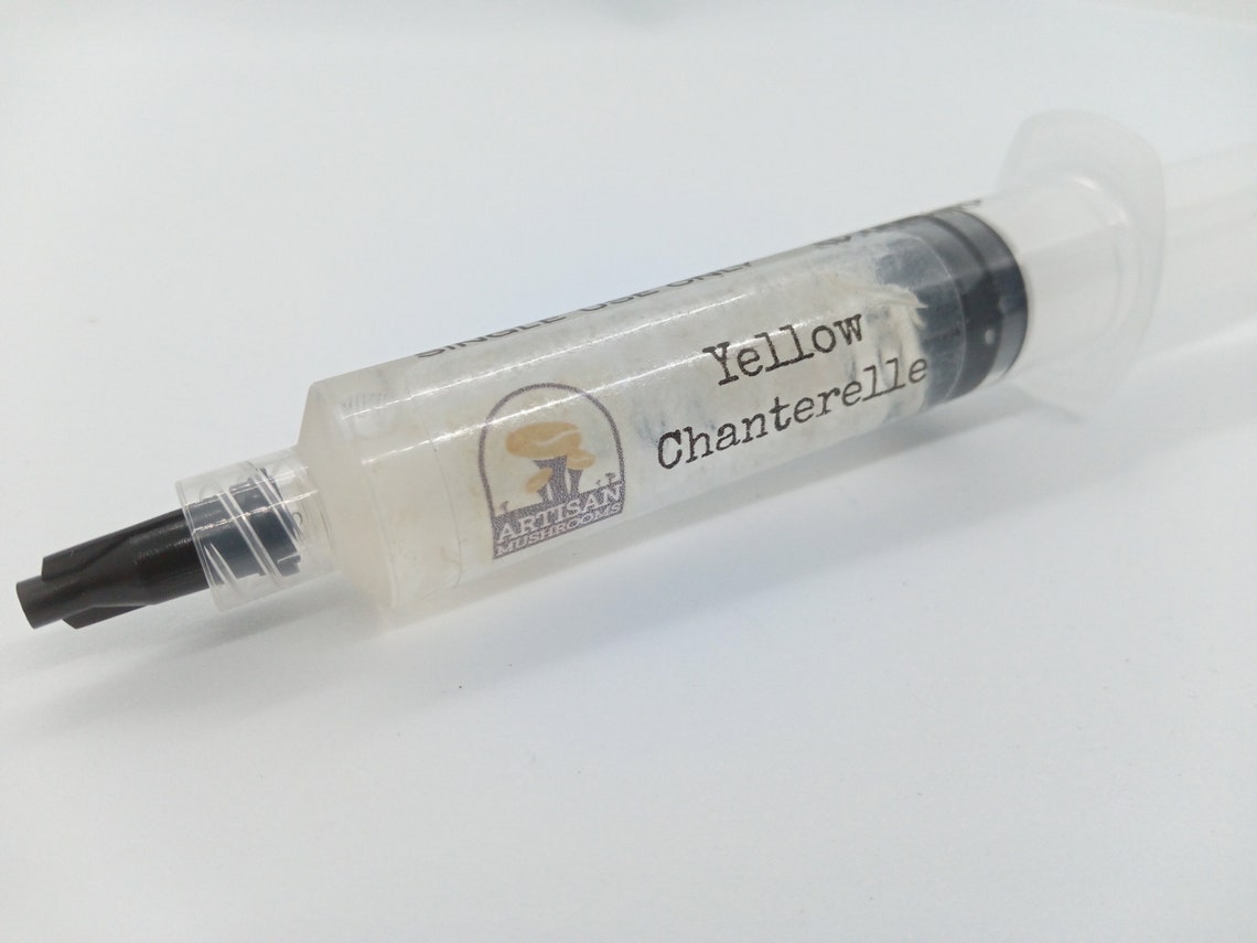 Yellow Chanterelle Liquid Culture Cantharellus Cibarius Etsy