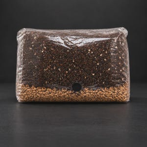 Bolsas de cultivo de setas CVG estériles / 2 kg listas para inocular