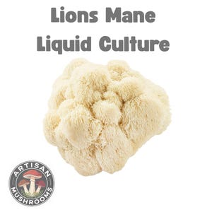 Lion's Mane Mushroom Liquid Culture Spawn | Brain Boost Lab-Grade Mycelium