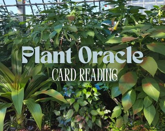 Plant Oracle Card Reading- Ask the Herbs for Advice!-Work, Finances, Friendship, Family, Romance or Blind Reading!-24 Hour Delivery