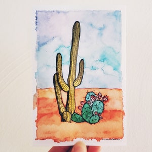 4x6 Impression Cactus Sud-Ouest