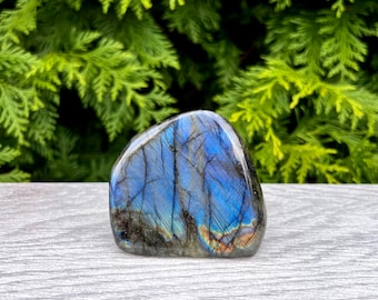 Labradorite Blue Flash Freeform Natural Crystal Genuine Gemstone Display Metaphysical Healing