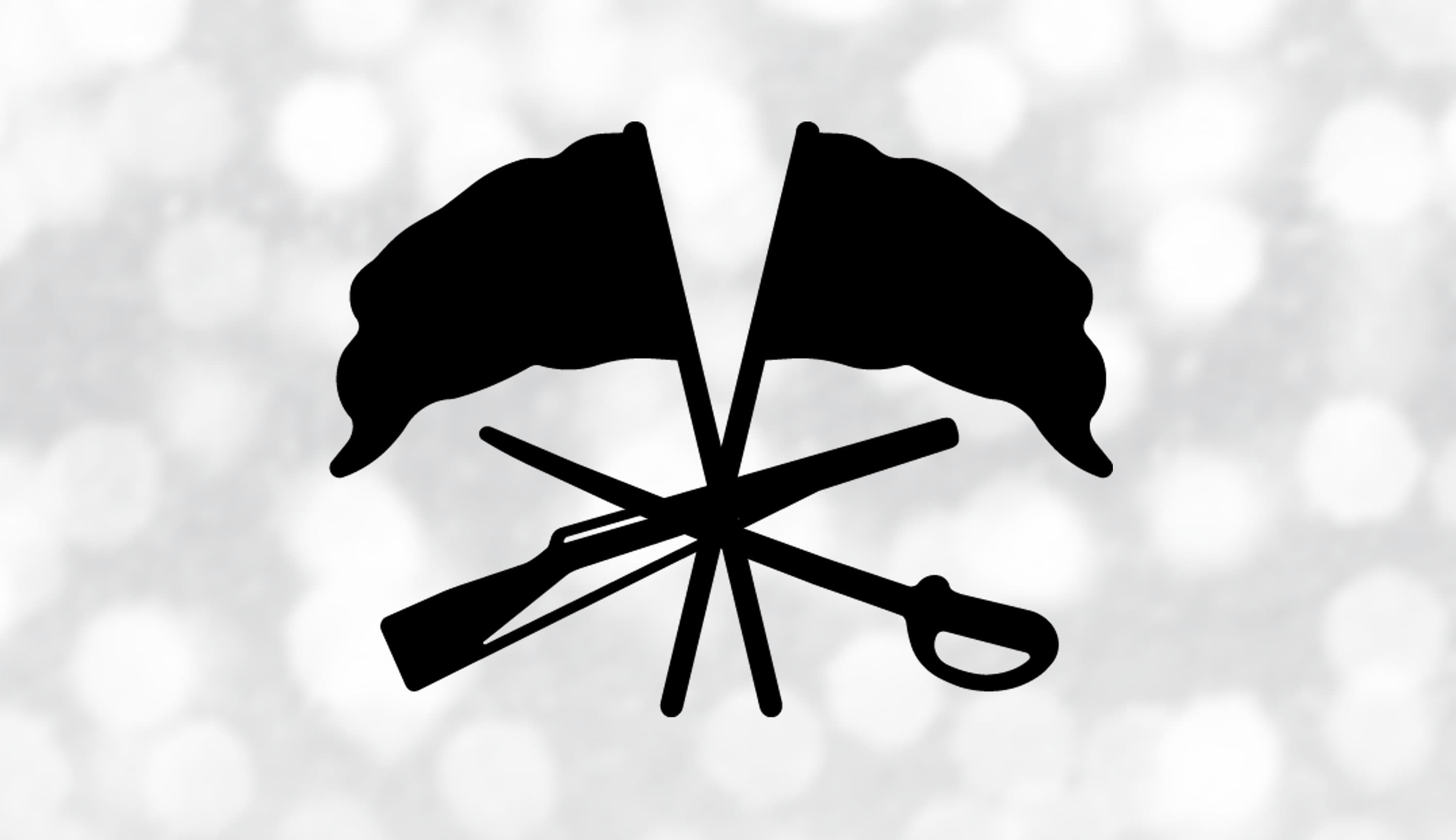 Color Guard Flag Rifle Sabre